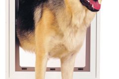 Pet-Door